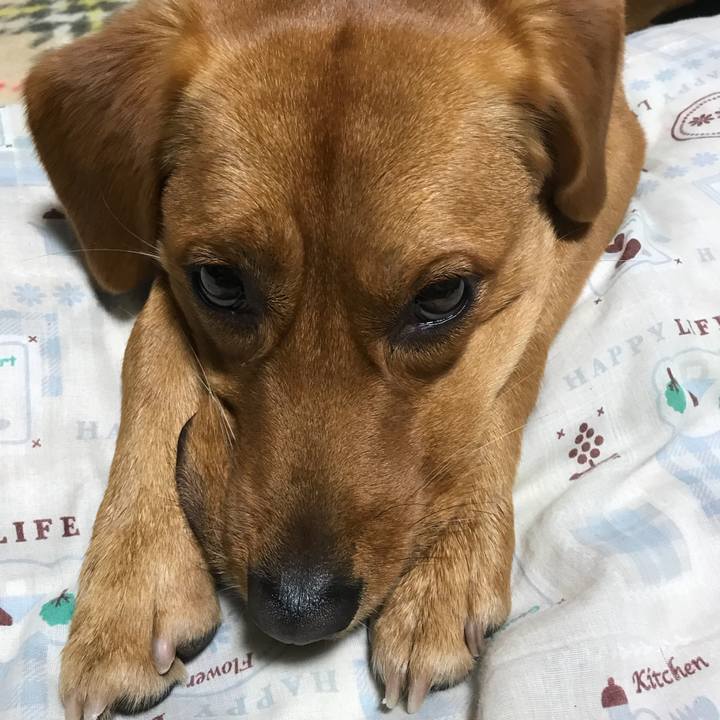 7cc02578 b41f 4146 a6cb 088ae4b83a11 1531407354980