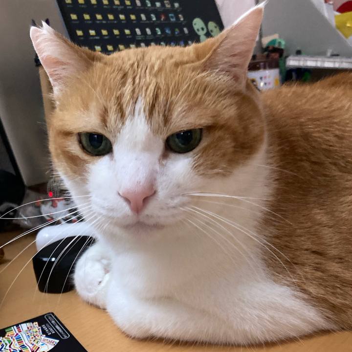 7cc030cf 300d 44c9 b61e 949a08bb0632 1762042989338