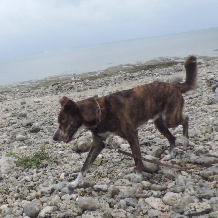 7cc0533b 50a5 4c80 b605 456c945329ab 1516616336979