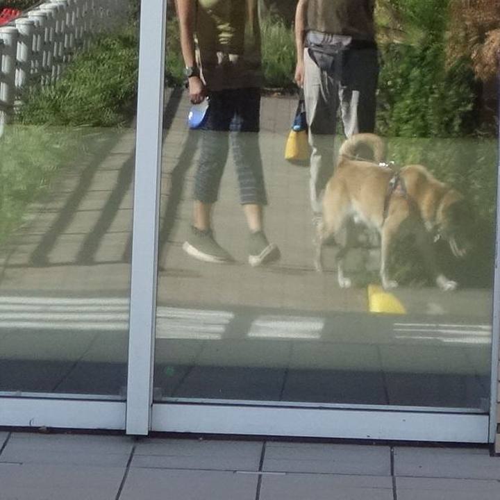 7cc0b5fa 93b3 4d80 abfa 7d424e8acc88 1536367175630