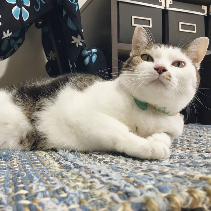 7cc110eb 0c24 4349 a2be dc412d5a4680 1537755506209