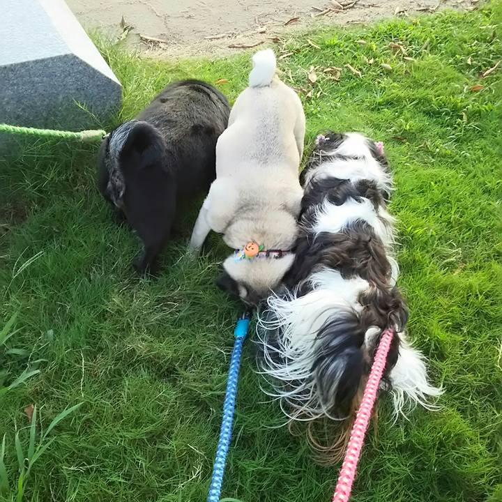 7cc12e9a 71cd 4929 ad69 73e96b4401f8 1533924879640