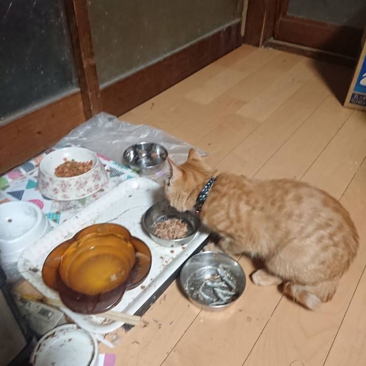 7cc1439f 963e 4305 85f5 5e703fd8cdcf 1635454429863