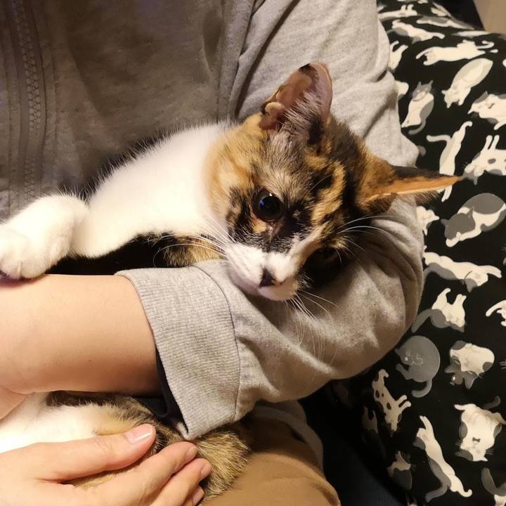 7cc156b8 aa2f 4153 87b8 c262c0eedae3 1605256445759