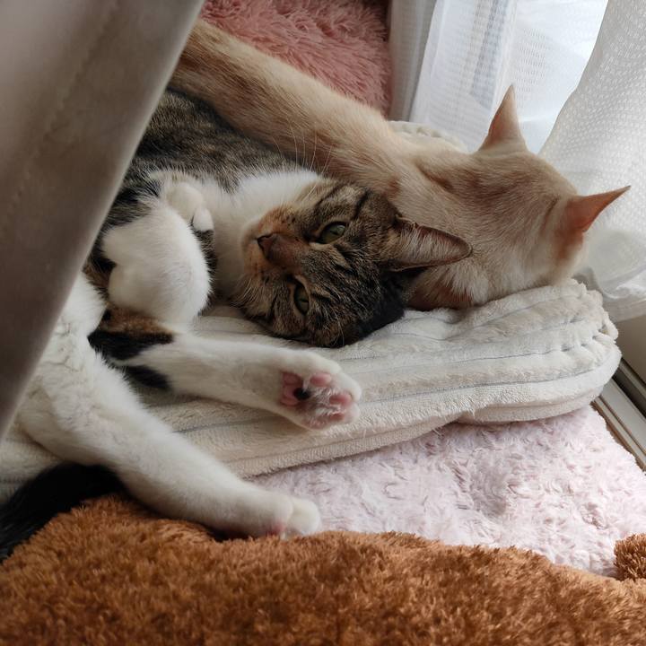 7cc1a87d f84f 4ca2 9c1e 3addff21ec06 1677805735413