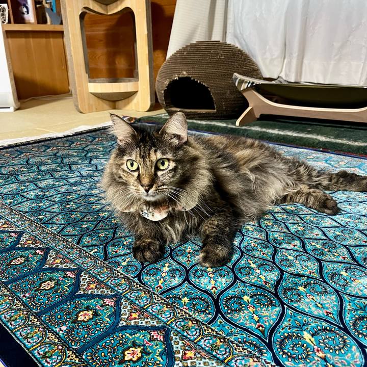 7cc1fc50 2365 4c6b bb47 854924841e8b 1755758810624