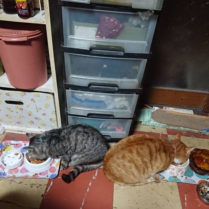 7cc288a8 9d30 4536 84fa 8f2fc458b7f6 1572897342928