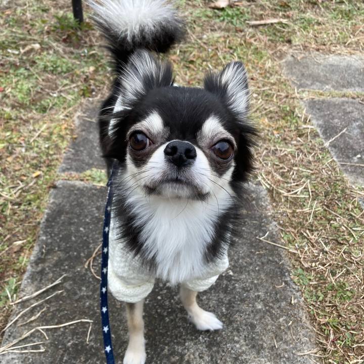 7cc304af b649 4618 ae12 fc23d98b4748 1641787584120