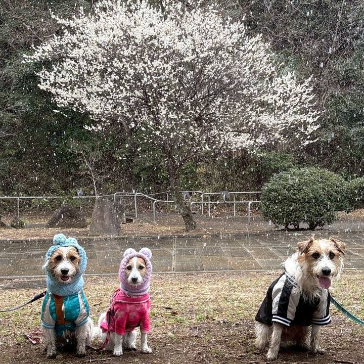 7cc32dd6 10a0 4054 8429 661b758a42bf 1770462512880