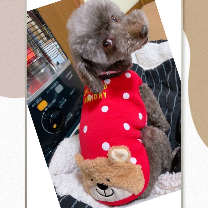 7cc34ce6 1301 436f a363 4808654b758e 1637820569902