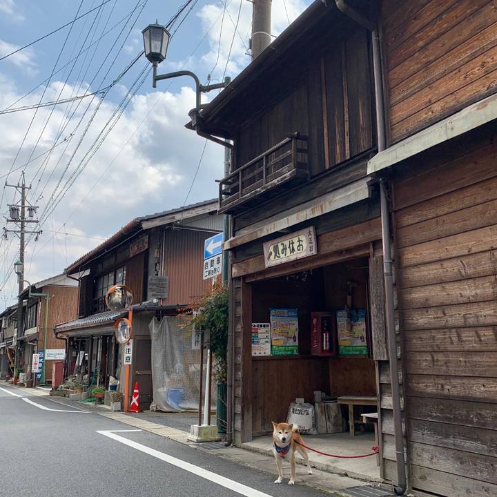 7cc36bcb 64fa 44f6 a77c a63150b1fb25 1583140766316