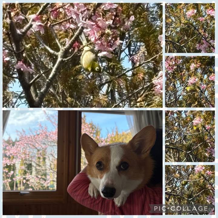 7cc36d89 bccc 4a9f b43c eb6dd0495688 1772852210243