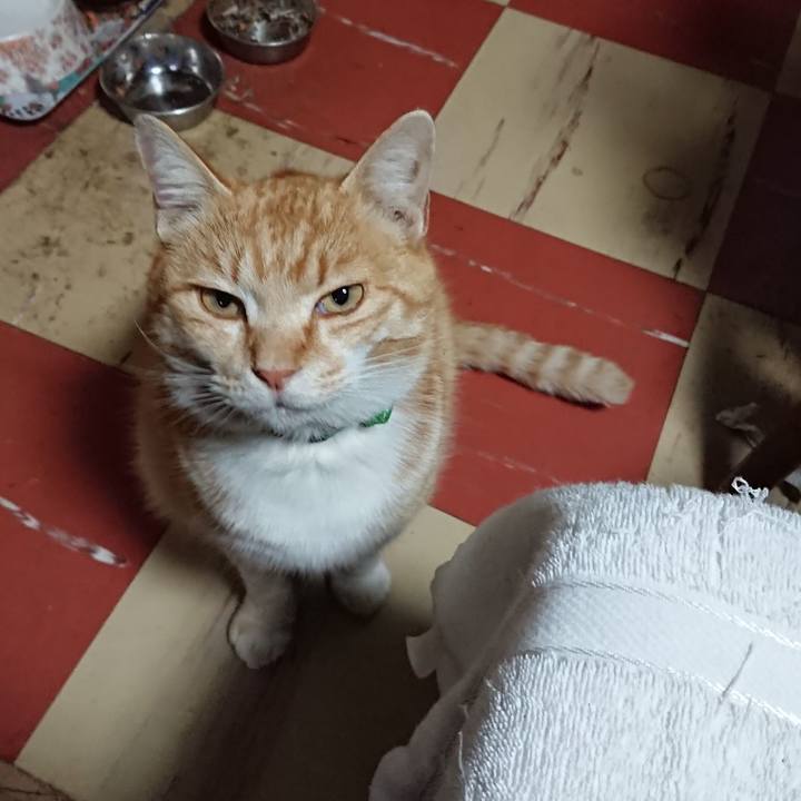 7cc36f09 9788 41af b344 48e06f3a94c5 1586035903446