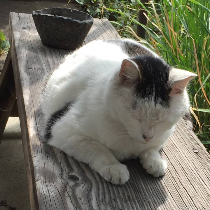 7cc37dfb 7044 46f2 ae87 13427aea11e7 1657924302005