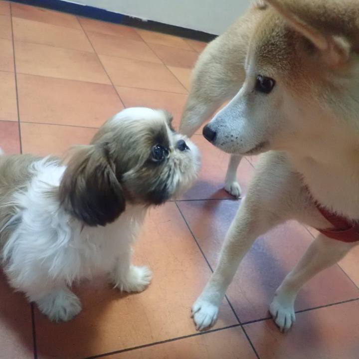 7cc39acd 753b 40b2 96d4 e35fcb2ad5fe 1730671549265