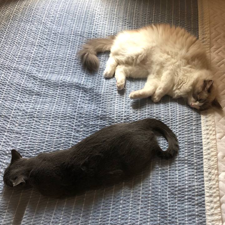 7cc3b335 8609 4d5a ad32 11cba8c360e5 1562566029374