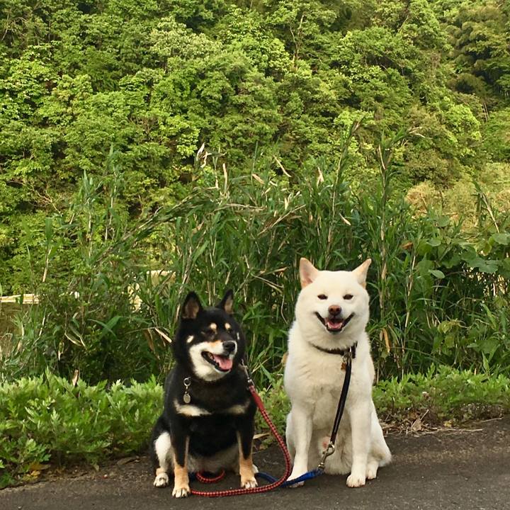 7cc3ee32 eeeb 44b1 917e 34108da1d97c 1526031779959