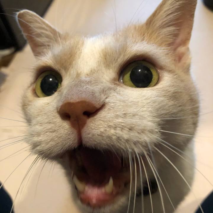 7cc40c18 201d 4722 9d7d d8c21f12d4d1 1629153233813