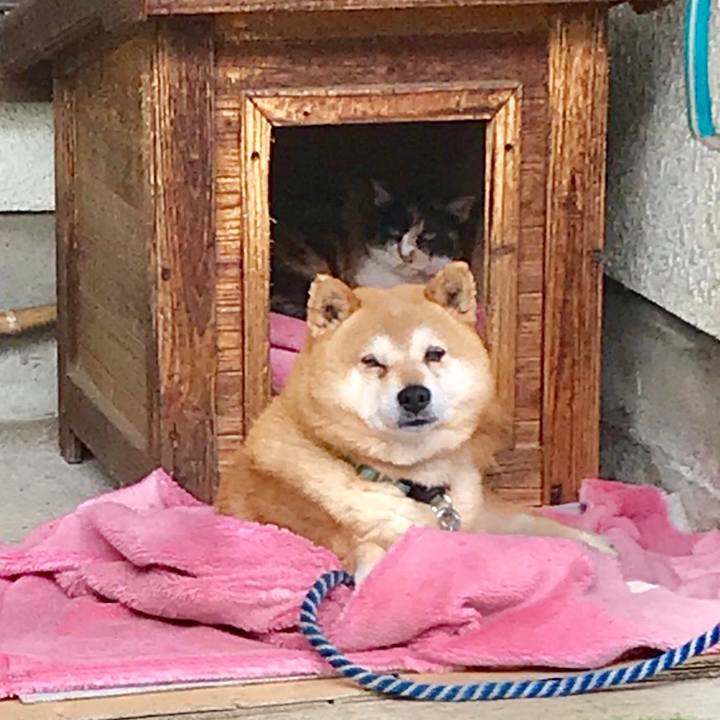 7cc44749 71c2 4105 aafe 1e8c042cab96 1529295439776