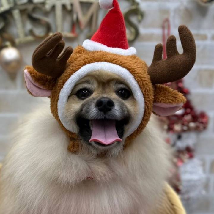 7cc45561 c7df 499f b7df 42c32f0eafe3 1671279384069