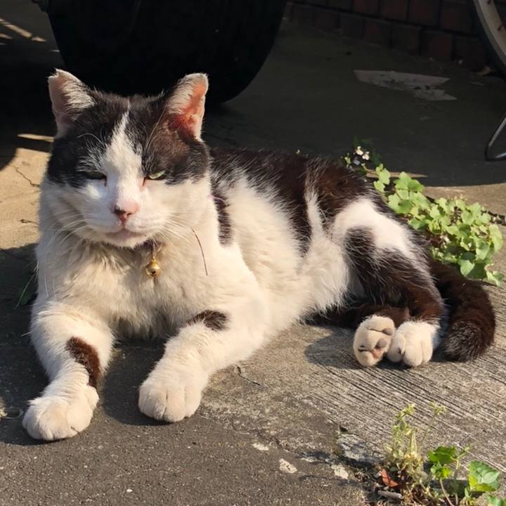 7cc4c36e 18ac 46e8 bfaa 15b5fb8805bf 1558189031538