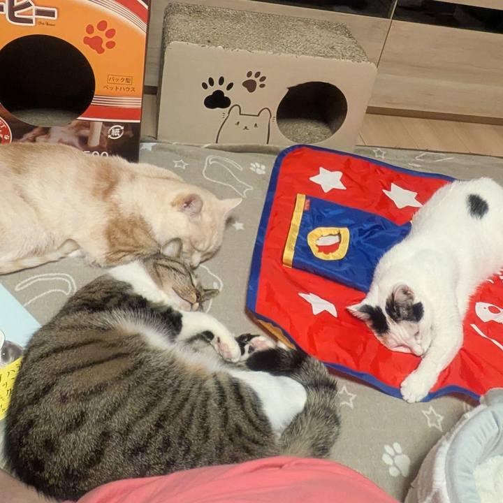 7cc4f449 cb19 488d a9b0 ff5e68fdab92 1767956107934