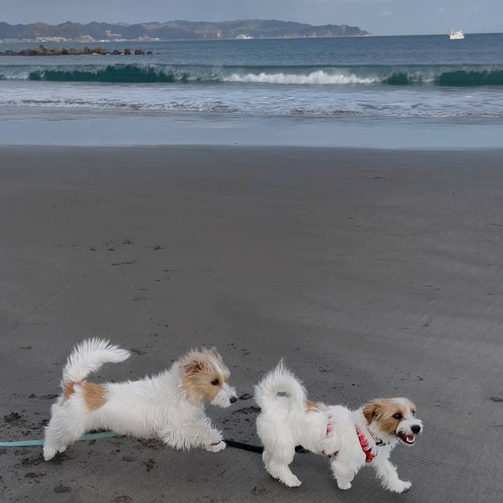 7cc4f706 e207 473e a96e 67b33acc65e7 1771767939489