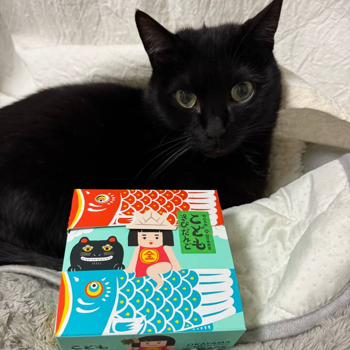 7cc525b5 edd5 46bb b217 3cc0905606c9 1746448416480