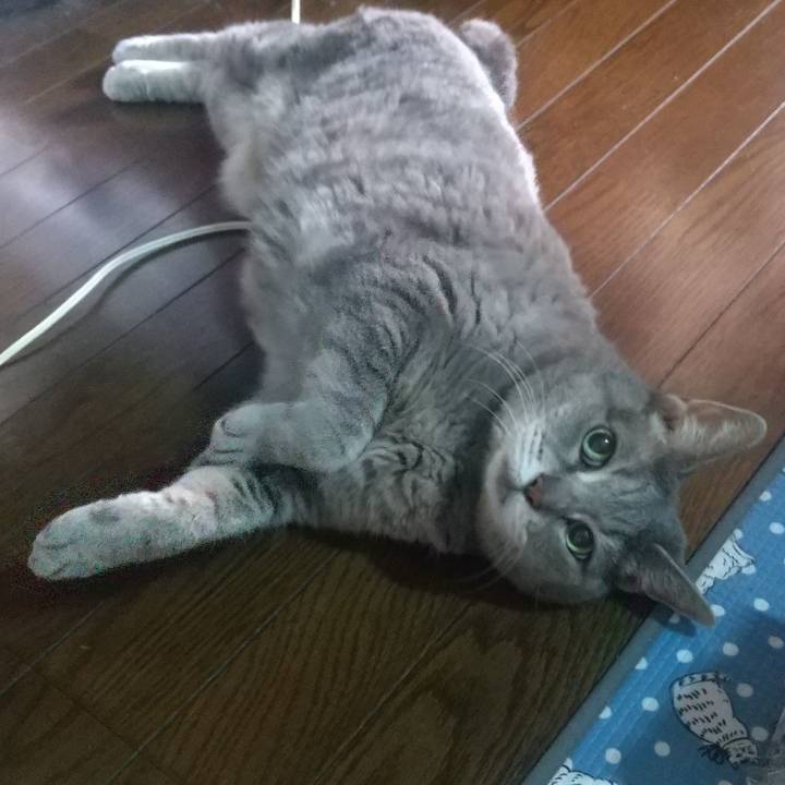 7cc56674 c093 4d38 a8e1 41f4a474f8a3 1658614451561