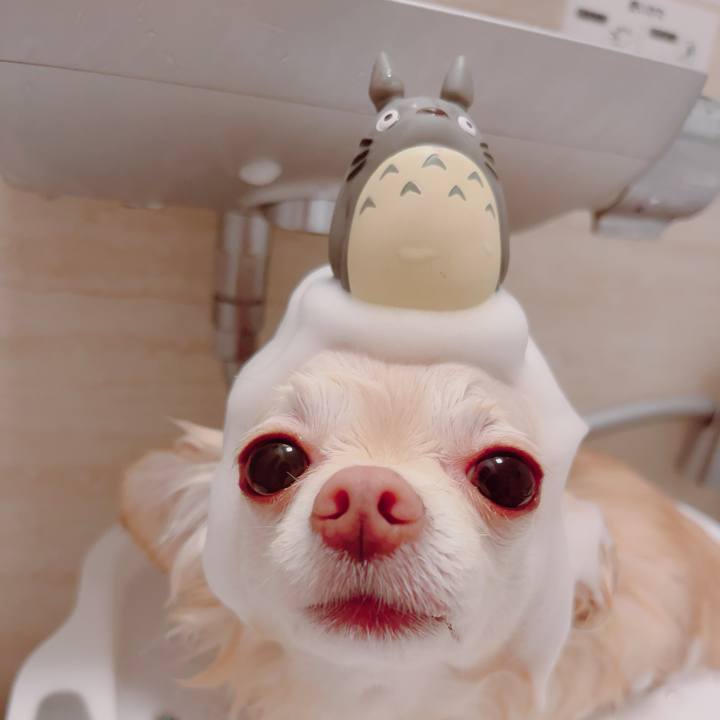 7cc57aac 18f0 4484 a2ac d6c515224cf7 1702562207194