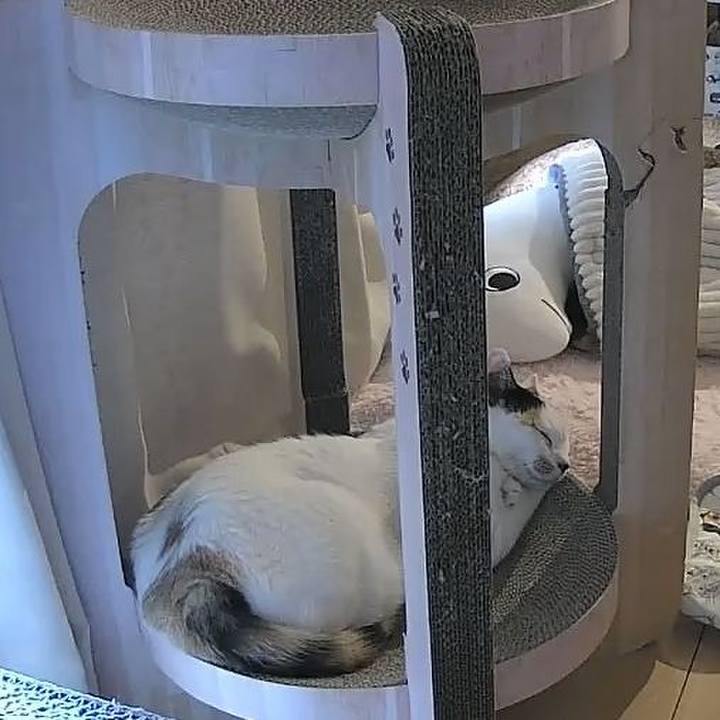 7cc59290 cb55 49f8 b5c4 52df5a900767 1755290066387