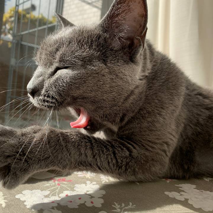 7cc5e716 6f6f 45ee a6d9 e124f533a79d 1549758426088