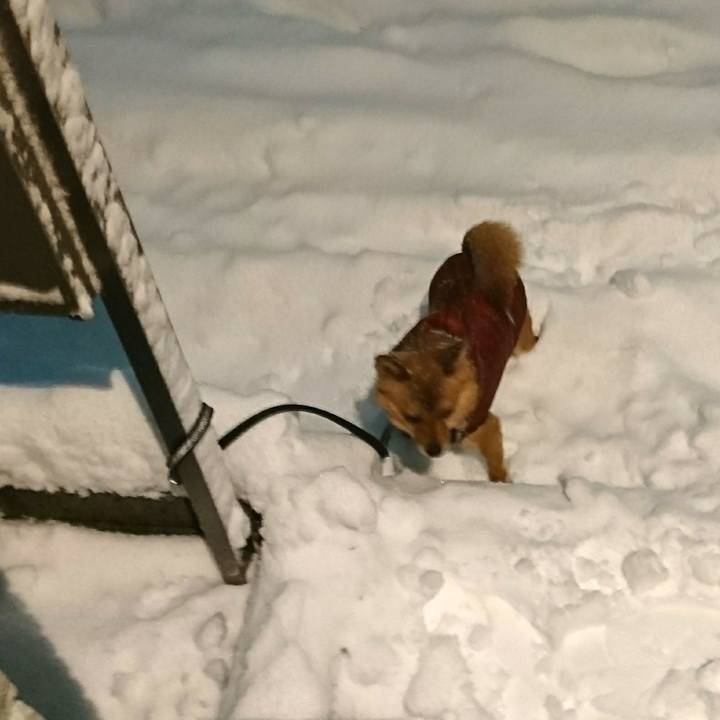 7cc5f4e9 14c4 4df9 99e9 edb52a1a1182 1516622482369