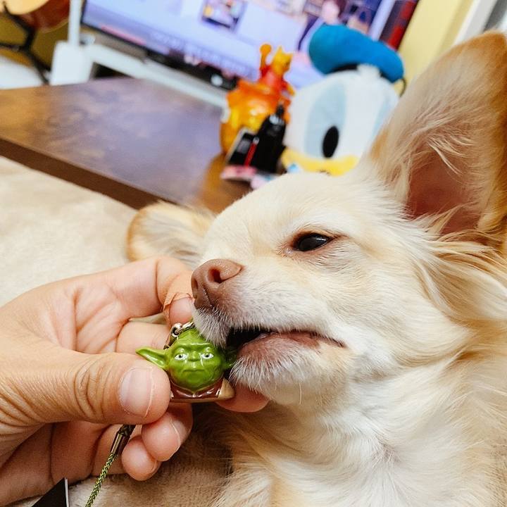 7cc63c49 0c05 4f07 9689 2edd817e4fdb 1618108718694