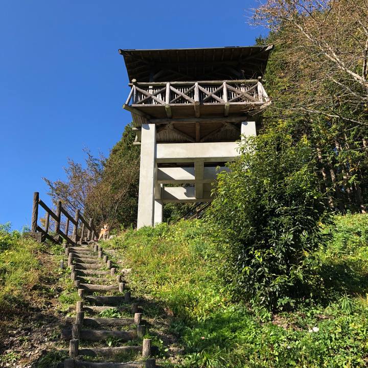 7cc64204 4b8e 4339 8731 d5bffef0cb84 1541149885908