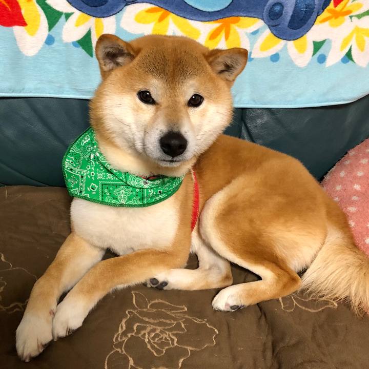 7cc64b63 7912 49eb b97a 2c116575f350 1521805938513