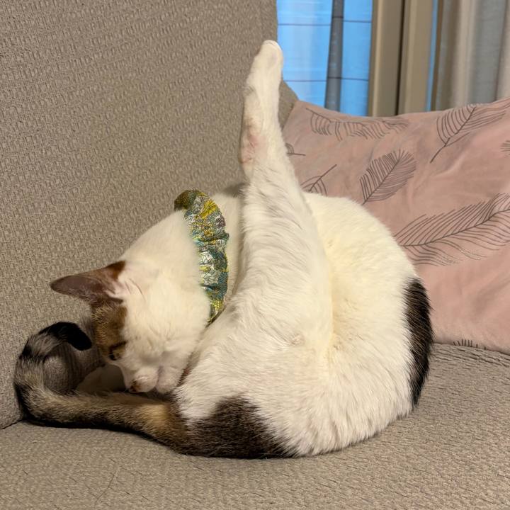 7cc65c31 90c7 4148 a618 2f09309d5da0 1774304806119