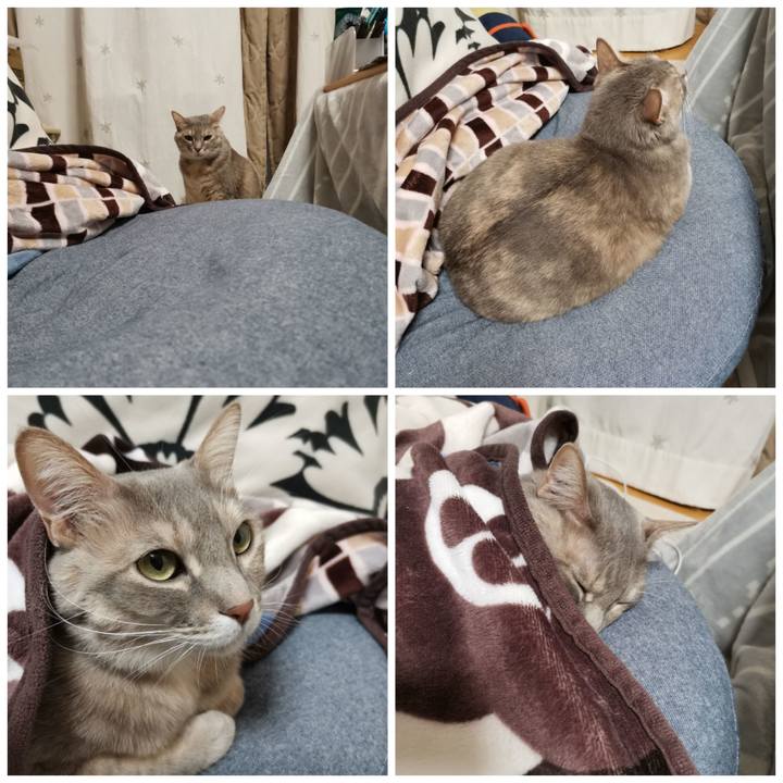 7cc696f5 812a 49ec bb1a e6e863442ac5 1612795091039