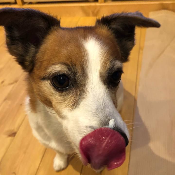 7cc6a4aa 9ec8 4889 a3af 0822a8ad47e6 1516763868176