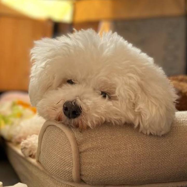 7cc6af4e c5c8 4470 8b44 8d68d5bfb62d 1735828815683