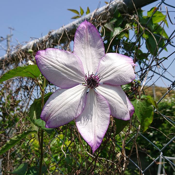 7cc6e2db 5c2b 4b3c a3cd aade7bca607d 1651116053373