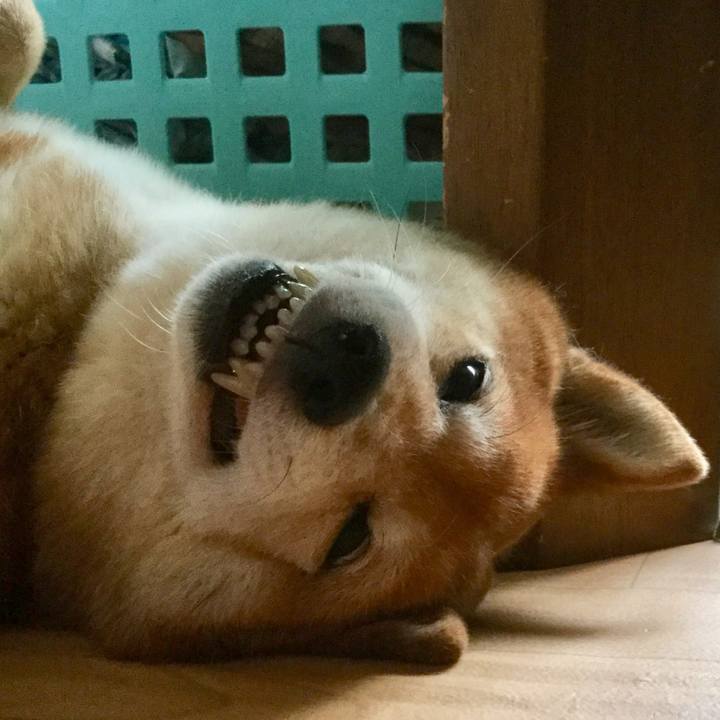 7cc71dec 4e48 4ba3 82d1 4cc7d64d1335 1591253510857