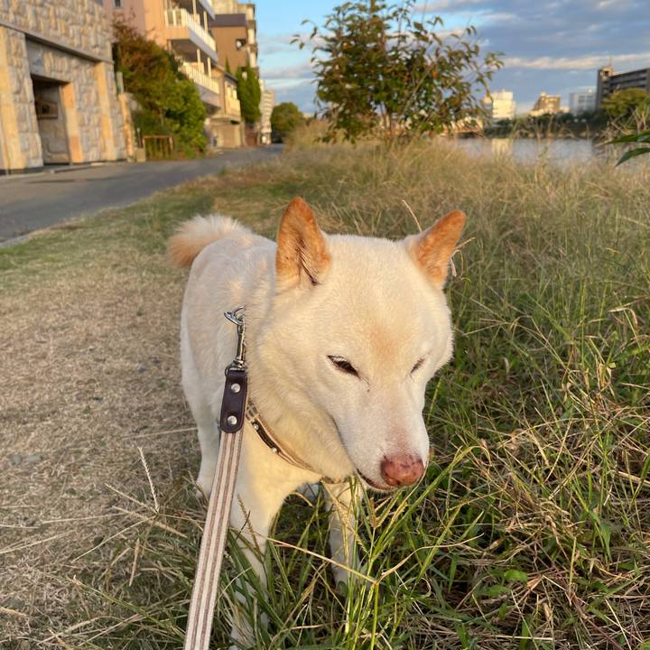 7cc7252b 2986 4e6c 90c6 3043ceaf4c00 1635693772471