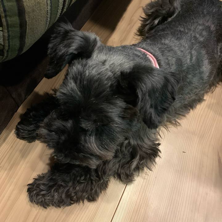 7cc743e5 cc20 459b b546 0bdb989610f6 1619086849672