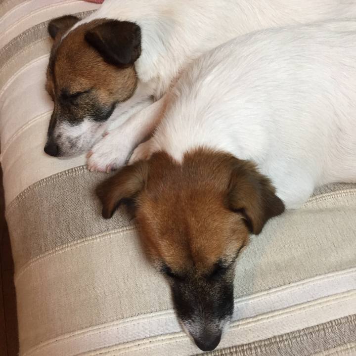 7cc75041 4408 46ea b666 71c90949742e 1509112430066