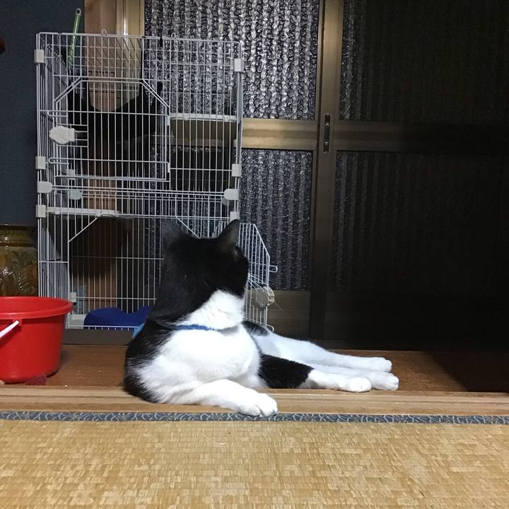 7cc75084 38bc 4539 8136 7abaf7af4023 1694431744038