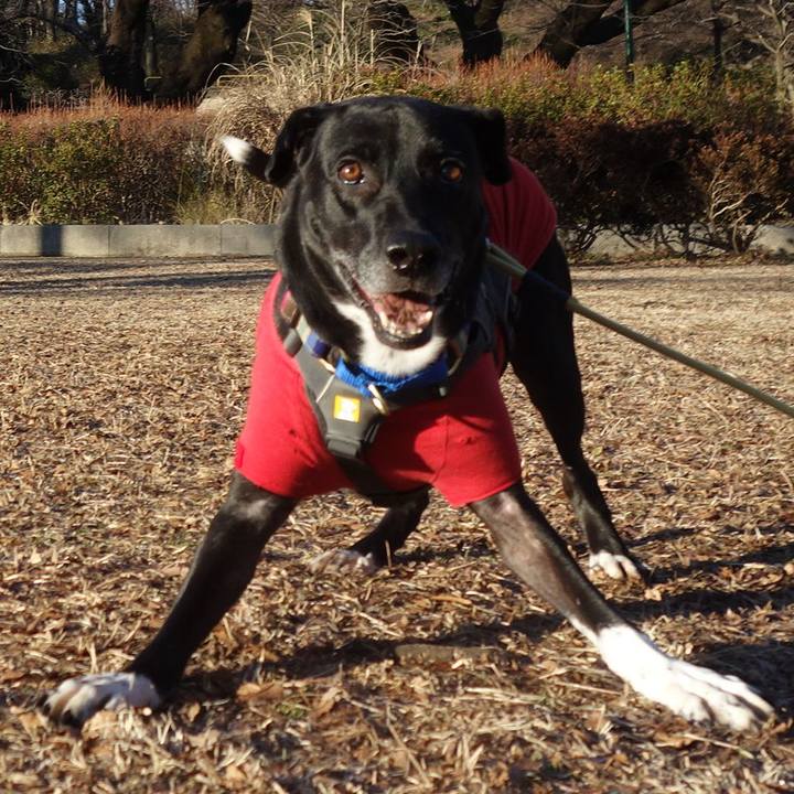 7cc766ef 8acc 4bac af56 01ddb877fc30 1642123532128