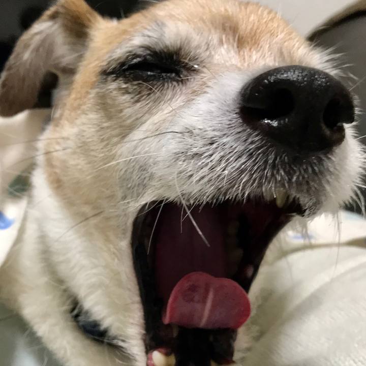 7cc78192 f8d4 4201 936f 64767865aa94 1652004011562