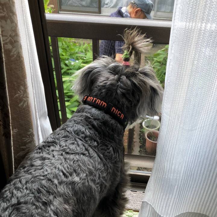 7cc7a625 e225 463f 9dc1 aac2594d20c5 1531473542413