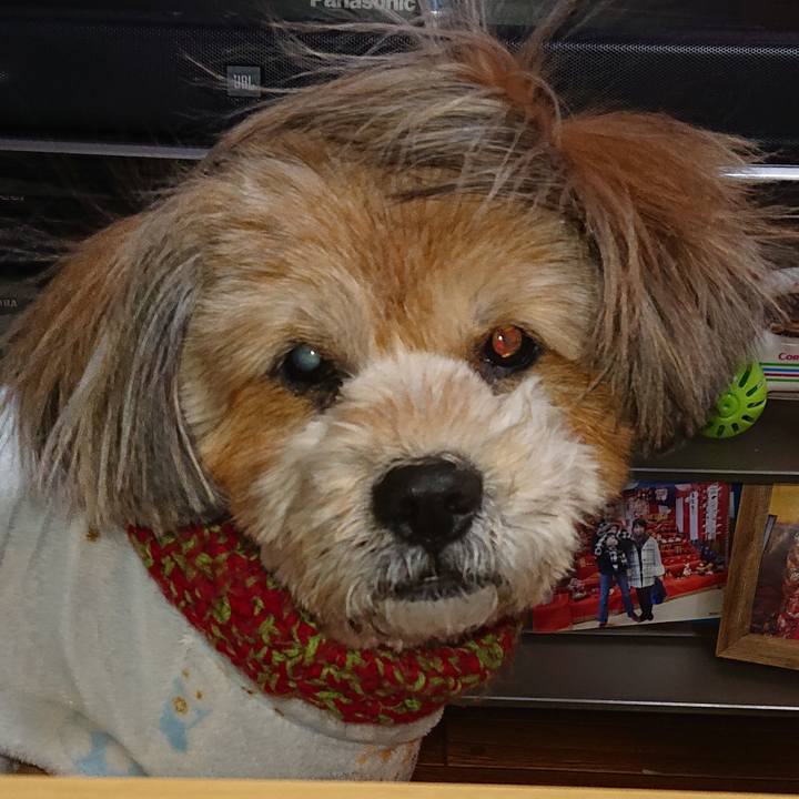 7cc7db53 a05b 4250 a5ef 777b5c0483da 1611231487178